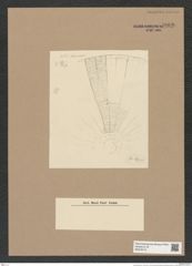 Arachnodiscus sp. (de-Toni-Nr.: Genus 204) Zeichnungen Sammlung Grunow Nr. 9006 (NHMW-BOT-W0378712)